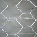 High Quality and Good price Hexagonal Wire Netting coop